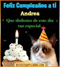 Gato meme Feliz Cumpleaños Andrea